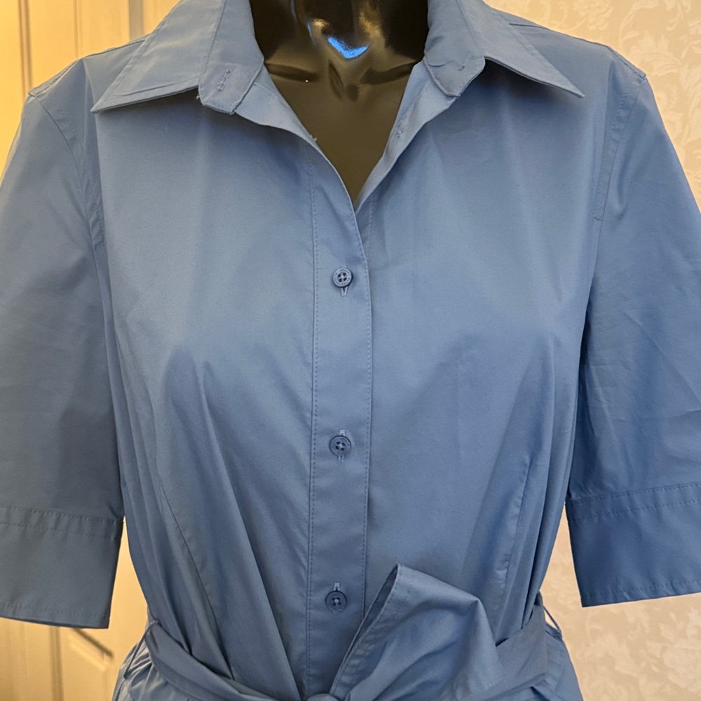 Lauren Ralph Lauren Belted Cotten-Blend Button Up Shirtdress in Pale Azure Sz 6 - Picture 2 of 8